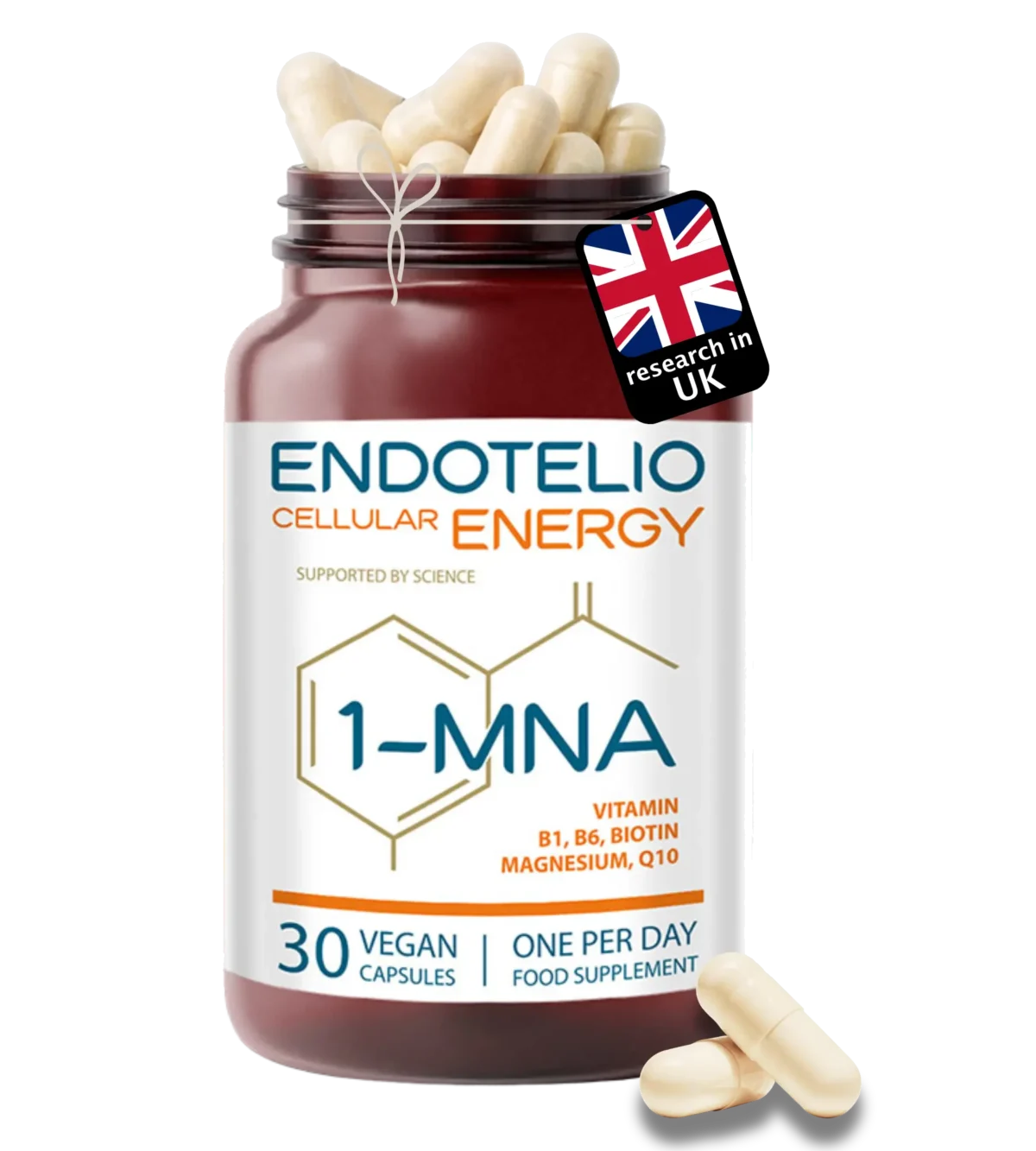 Endotelio Energy